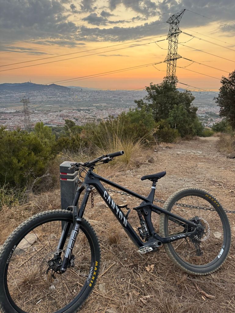 Used Canyon Strive CF 9.0 2020 2020 Mountainbike, Black — image 3 of 6