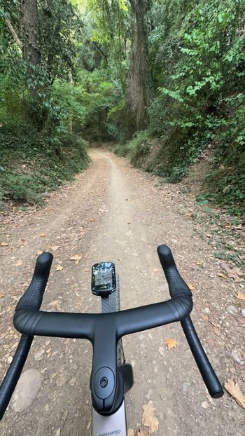 Tweedehands Megamo SILK 07 2026 2026 Road & Gravel — afbeelding 3 van 3