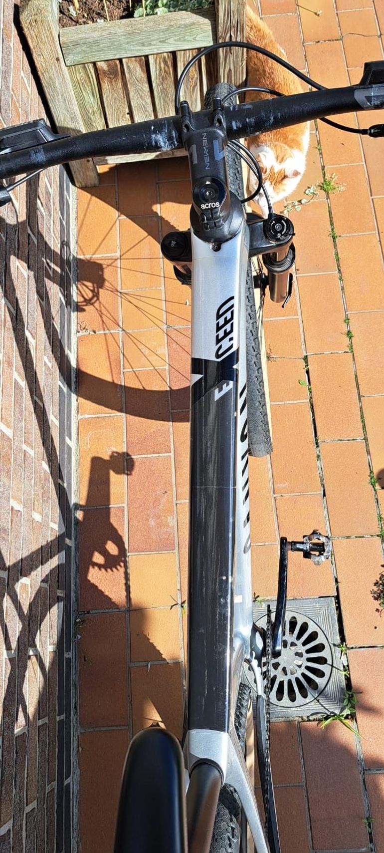 Gebrauchtes Canyon Exceed Shimano Deore 2023 Mountainbike, Hellgrau — Bild 7 von 14