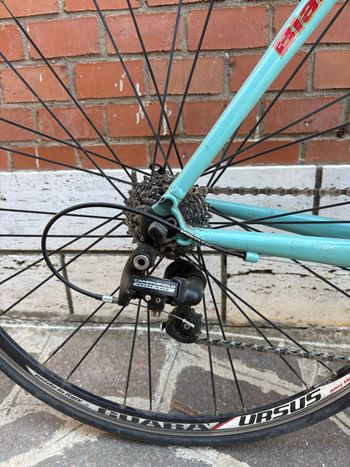 Bianchi Custom Other Campagnolo 2009 Road & Gravel d'occasion — image 3 sur 5