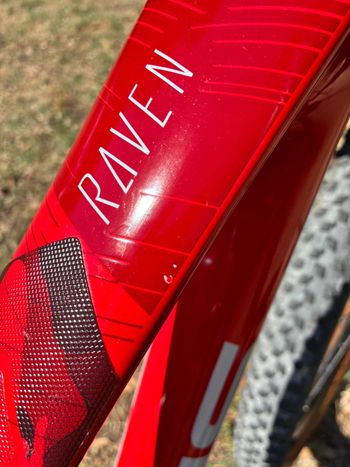 Focus RAVEN 8.8 2020 2020 Mountainbike usato, Rosso — immagine 3 di 3