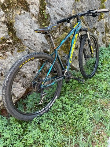 Used Orbea MX 50 27.5 2022 2022 Mountainbike, Blue, 27.5 — image 9 of 11