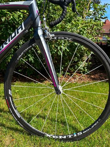 Merida Ride Campagnolo Chorus 2014 Road & Gravel usato, Grigio chiaro — immagine 4 di 6