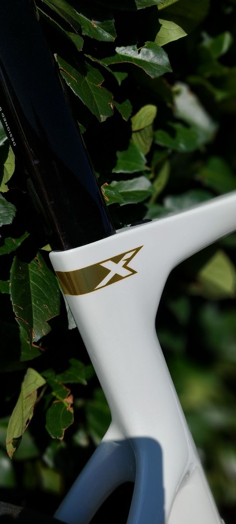 Używany Pinarello X1 105 2026 2026 Road & Gravel — zdjęcie 8 z 19