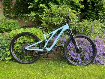 Brugt Specialized Stumpjumper EVO Comp 2022 2022 MTB