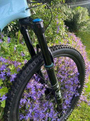 Specialized Stumpjumper EVO Comp 2022 2022 Mountainbike usato, Blu — immagine 10 di 11