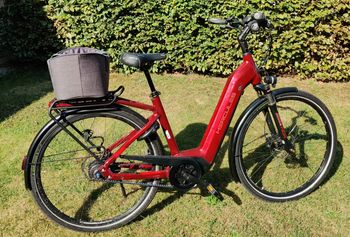 Used Hercules Robert/-a Pro I-F8 2022 2022 Urban & Touring