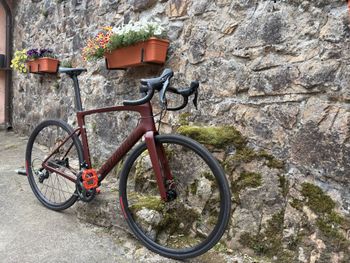 Gebrauchtes Specialized Roubaix SL8 - Shimano Tiagra 2024 2024 Road & Gravel