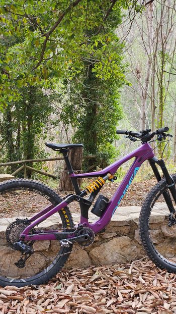 Gebrauchtes Orbea RALLON M-LTD 2022 2022 MTB