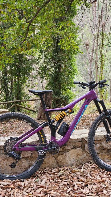 Used Orbea RALLON M-LTD 2022 2022 MTB
