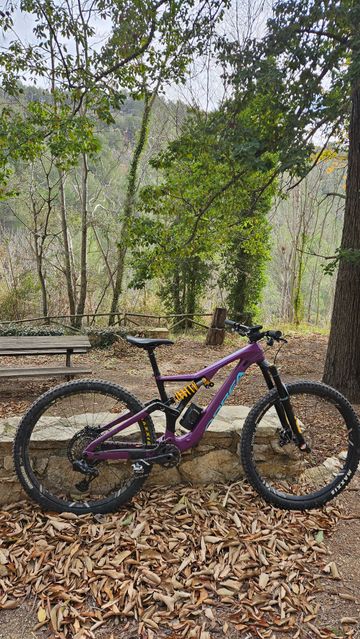 Gebrauchtes Orbea RALLON M-LTD 2022 2022 Mountainbike, Violett — Bild 5 von 5