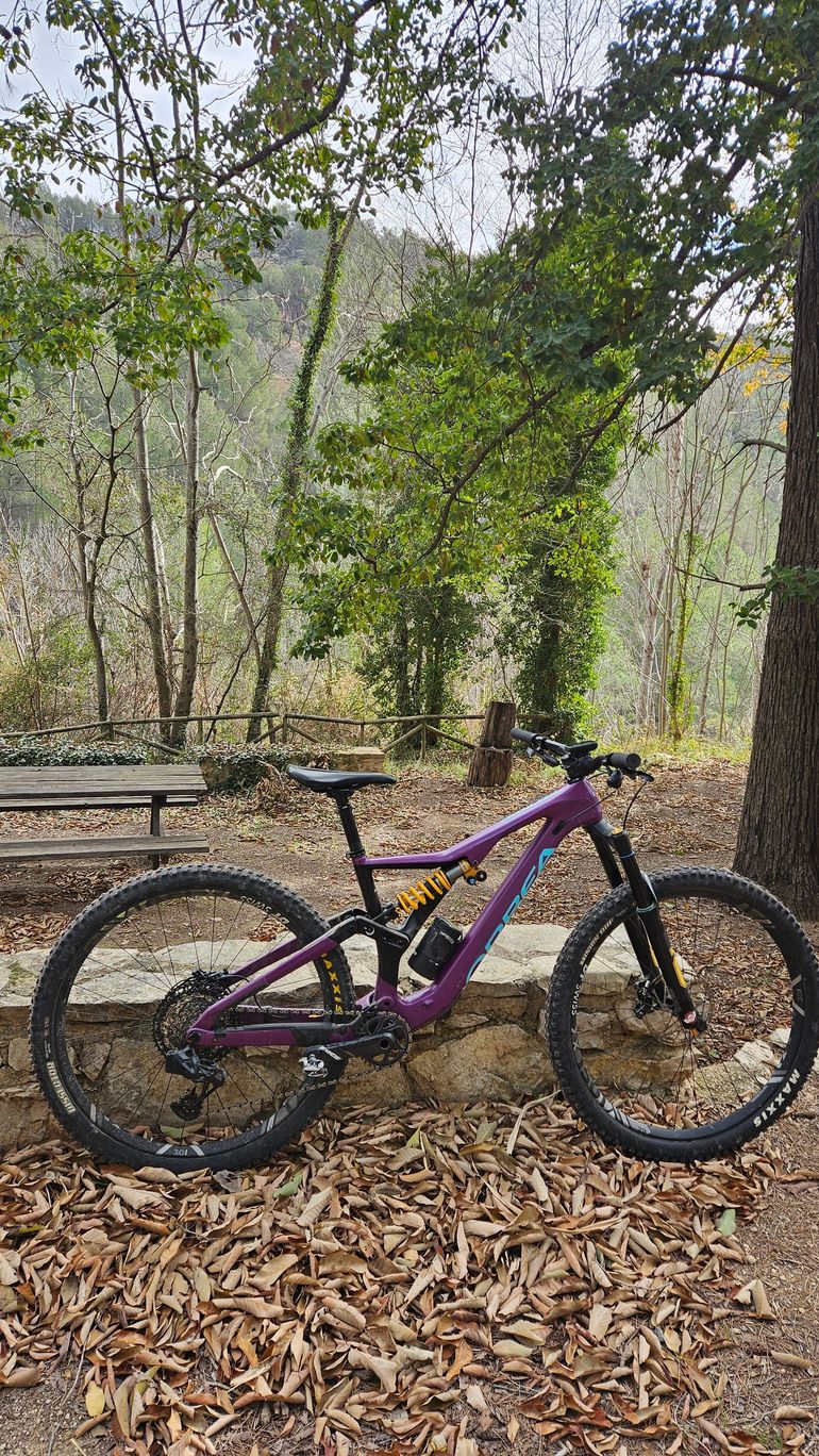 Orbea RALLON M-LTD 2022 2022 Mountainbike usato, Viola — immagine 5 di 5
