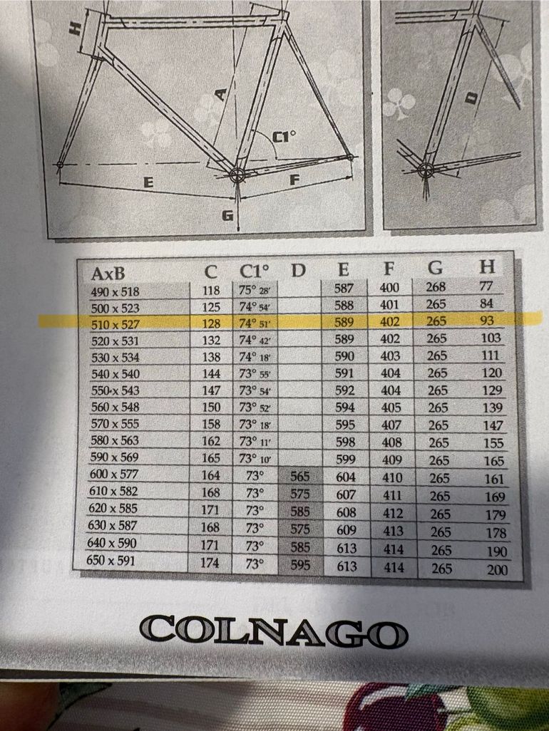 Used Colnago E1 Frameset 2005 Road & Gravel, Black — image 8 of 10