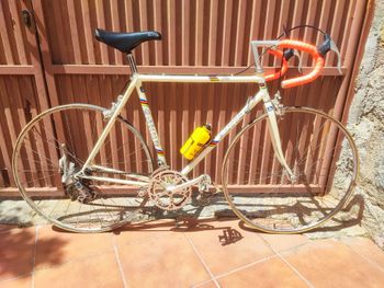 Altis Custom Other Campagnolo 1986 Road & Gravel usato