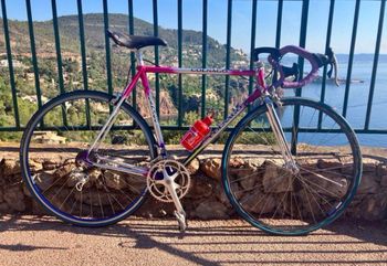 Used Colnago Decor Other Campagnolo 1996 Road & Gravel
