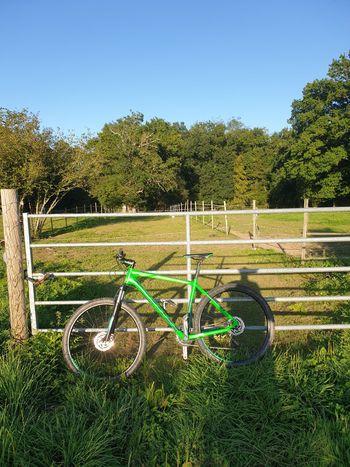 Used Scott Aspect 940 2017 2017 Mountainbike, Green, 29 — image 3 of 3