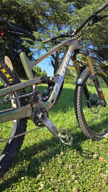 Used Cannondale Jekyll 1 2024 2024 Mountainbike, Green, 29 — image 4 of 5