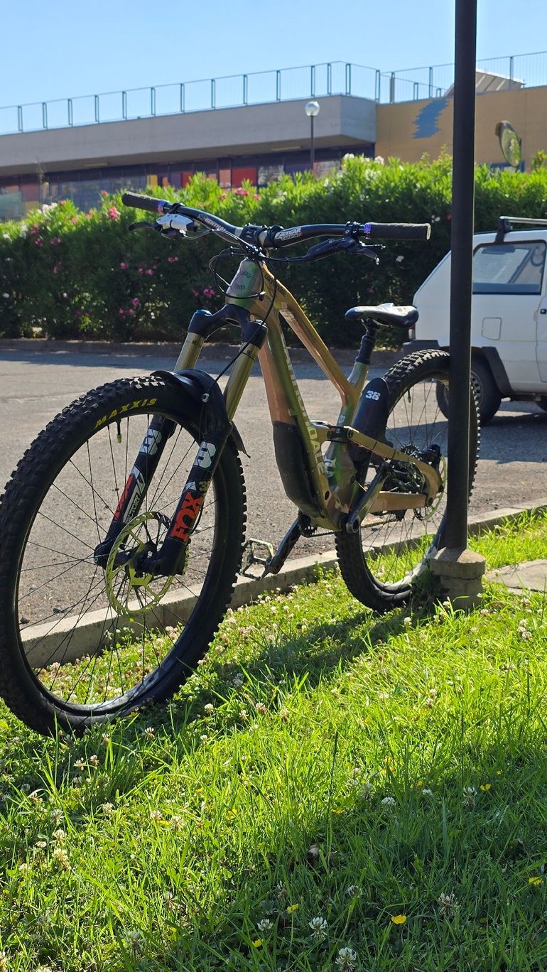 Used Cannondale Jekyll 1 2024 2024 Mountainbike, Green, 29 — image 5 of 5