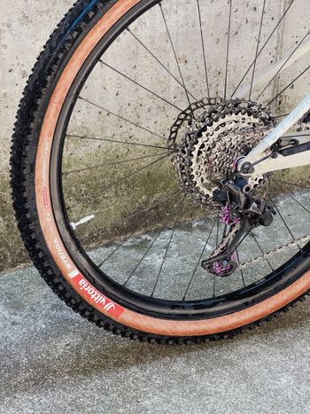 Used Canyon LUX Shimano Deore XT 2021 Mountainbike, Light Gray — image 4 of 8