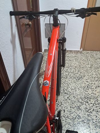 Wolfbike Custom Shimano Tourney 2023 Mountainbike d'occasion — image 8 sur 10