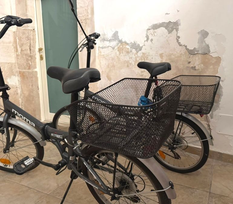 Used Moma Custom 2019 Urban, Light Gray — image 3 of 8