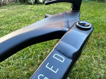 YT Industries CAPRA Base 2020 Frameset 2020 Mountainbike d'occasion — image 9 sur 24