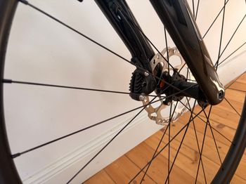 Brugt Canyon Grail CF SL 7 2024 2024 Road & Gravel — billede 14 af 17