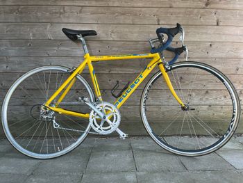 Brugt Peugeot Custom Campagnolo Veloce 1997 Road & Gravel