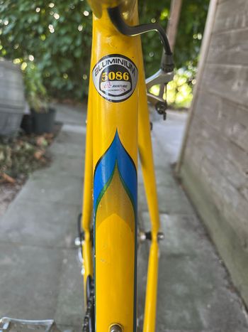 Gebrauchtes Peugeot Custom Campagnolo Veloce 1997 Road & Gravel, Orange — Bild 7 von 15