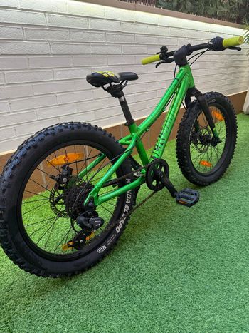 Bergamont Bergamonster 20 Plus 2021 2021 Youth usato, Verde — immagine 2 di 4