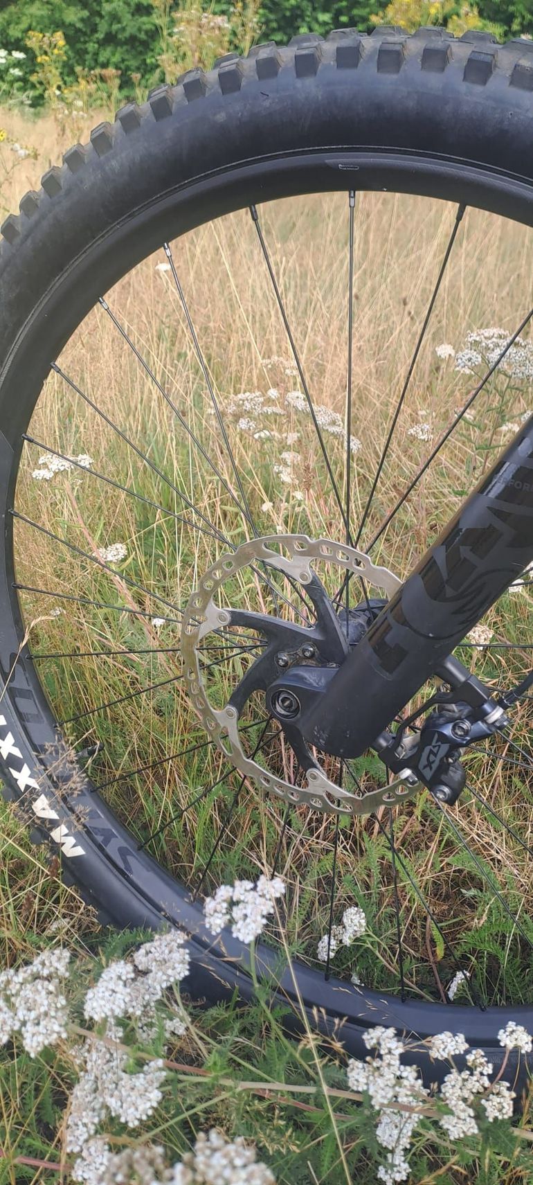Gebrauchtes Bold Unplugged Pro 2025 2025 Mountainbike, Grün, 29 — Bild 15 von 15