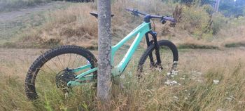 Gebrauchtes Bold Unplugged Pro 2025 2025 Mountainbike, Grün, 29 — Bild 5 von 15