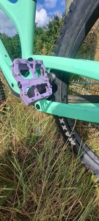 Gebrauchtes Bold Unplugged Pro 2025 2025 Mountainbike, Grün, 29 — Bild 3 von 15