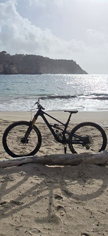 Used YT Industries Jeffsy CORE 5 29 2024 2024 MTB