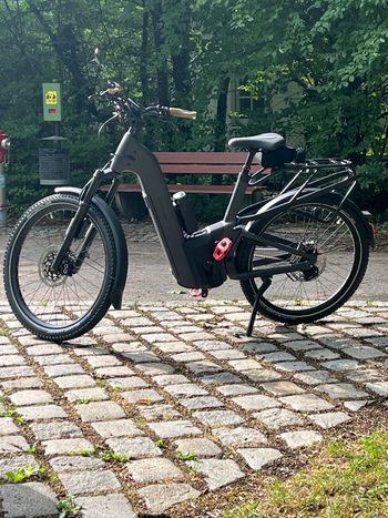 Gebrauchtes Riese & Müller Homage5 GT Rohloff 2025 Urban & Touring