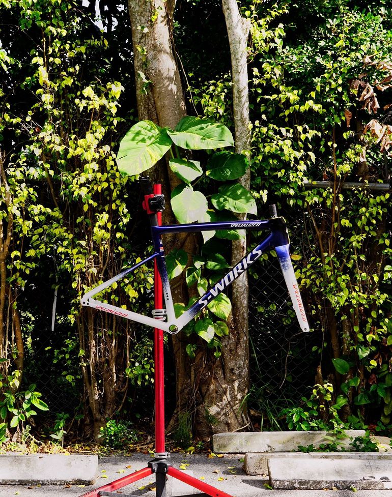 Used Specialized Tarmac Frameset 2025 Road & Gravel, Blue — image 6 of 8