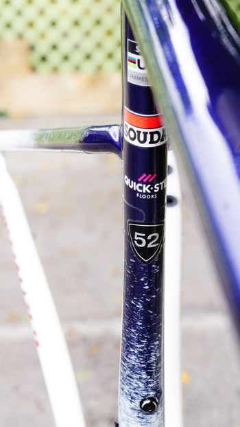 Used Specialized Tarmac Frameset 2025 Road & Gravel, Blue — image 5 of 8