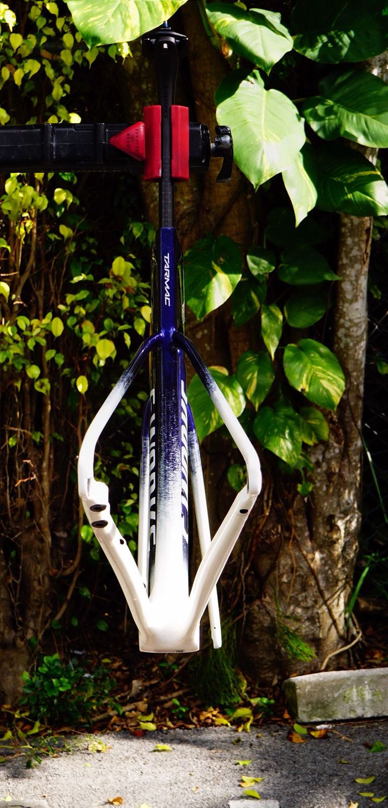 Used Specialized Tarmac Frameset 2025 Road & Gravel, Blue — image 4 of 8