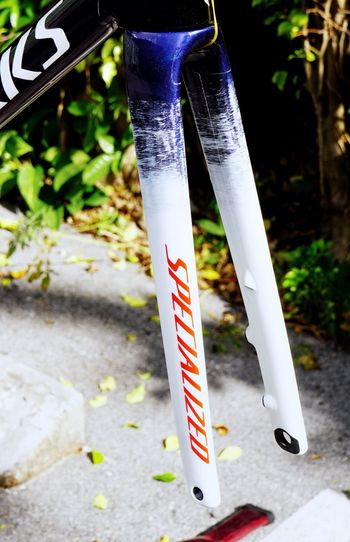 Used Specialized Tarmac Frameset 2025 Road & Gravel, Blue — image 7 of 8