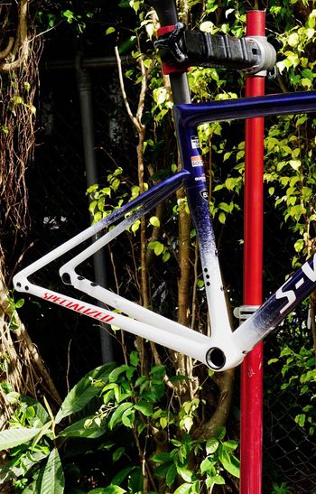 Used Specialized Tarmac Frameset 2025 Road & Gravel, Blue — image 3 of 8