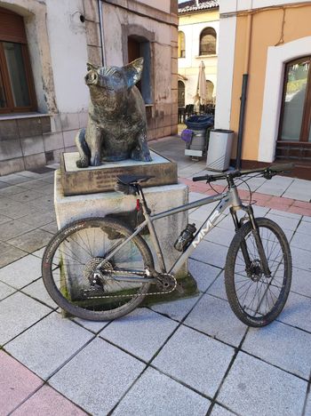 Tweedehands MMR Woki 00 2025 2025 Mountainbike — afbeelding 3 van 9