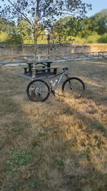 Used MMR Woki 00 2025 2025 Mountainbike, Light Gray — image 11 of 17