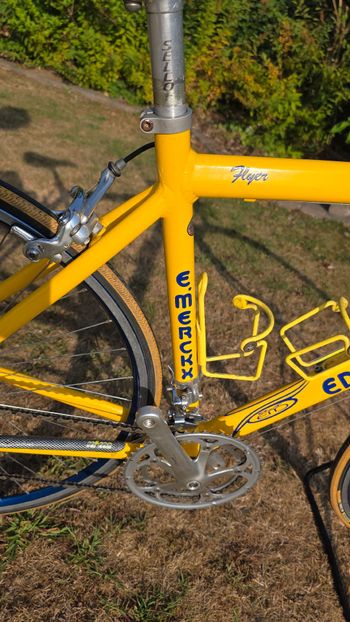 Tweedehands Eddy Merckx Custom Campagnolo Ekar 1999 Road & Gravel — afbeelding 10 van 12