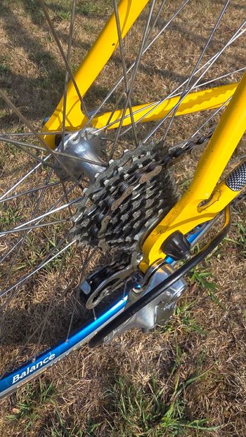 Tweedehands Eddy Merckx Custom Campagnolo Ekar 1999 Road & Gravel — afbeelding 4 van 12