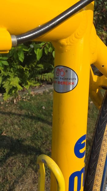 Tweedehands Eddy Merckx Custom Campagnolo Ekar 1999 Road & Gravel — afbeelding 7 van 12