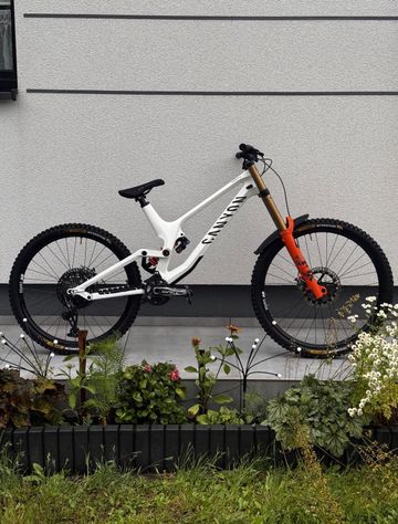 Brugt Canyon Sender CF 9.0 2020 Frameset 2020 MTB