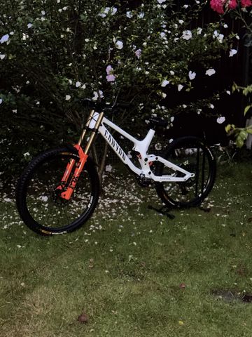Used Canyon Sender CF 9.0 2020 Frameset 2020 Mountainbike, White, 27.5 — image 7 of 14
