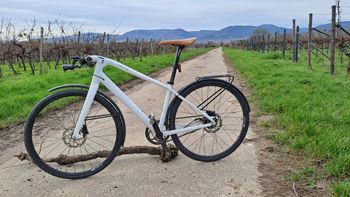Brugt Canyon Commuter Shimano Alfine 8 hub gears Urban & Touring
