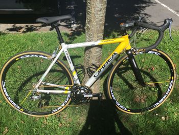 Used Orbea Asphalt Other Shimano 2009 Road & Gravel, White — image 2 of 3