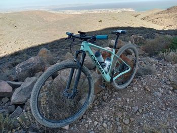 Orbea ALMA M20 2024 2024 Mountainbike usato, Verde — immagine 2 di 12